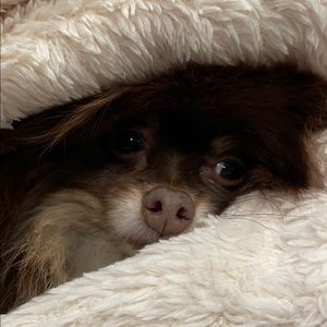 Meet your Posher, Hillary